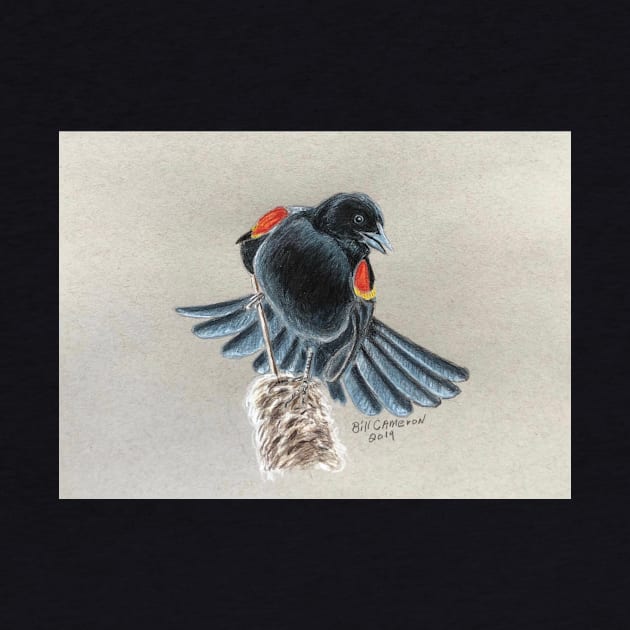 Blackbird by Bill Cameron Fine Art